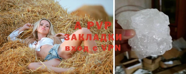 СК Алексеевка