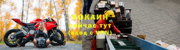 шишки Сатка