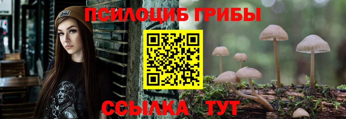 Галлюциногенные грибы GOLDEN TEACHER Калач-на-Дону
